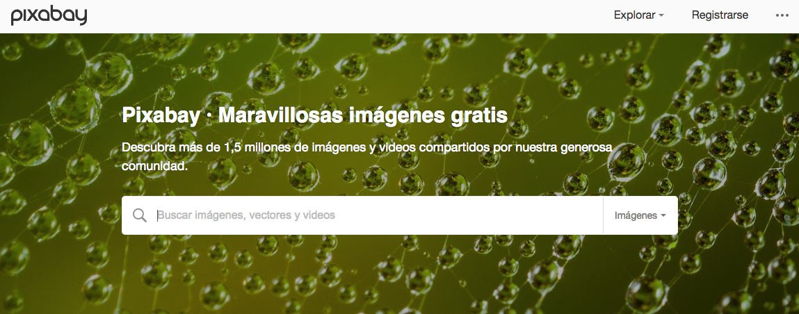 Pixabay-Bancos-de-imágenes-gratis